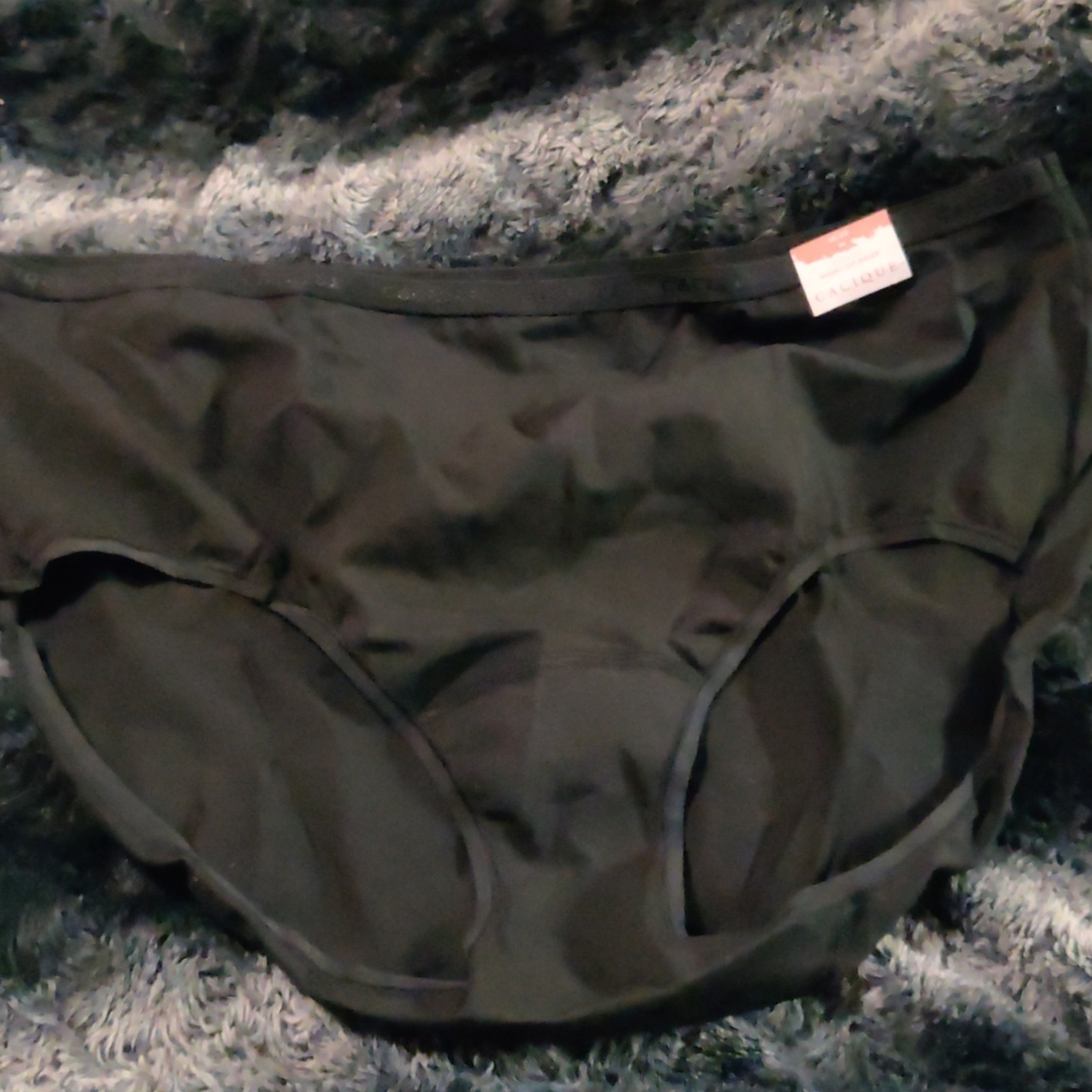 Cacique High Leg Brief Size 18